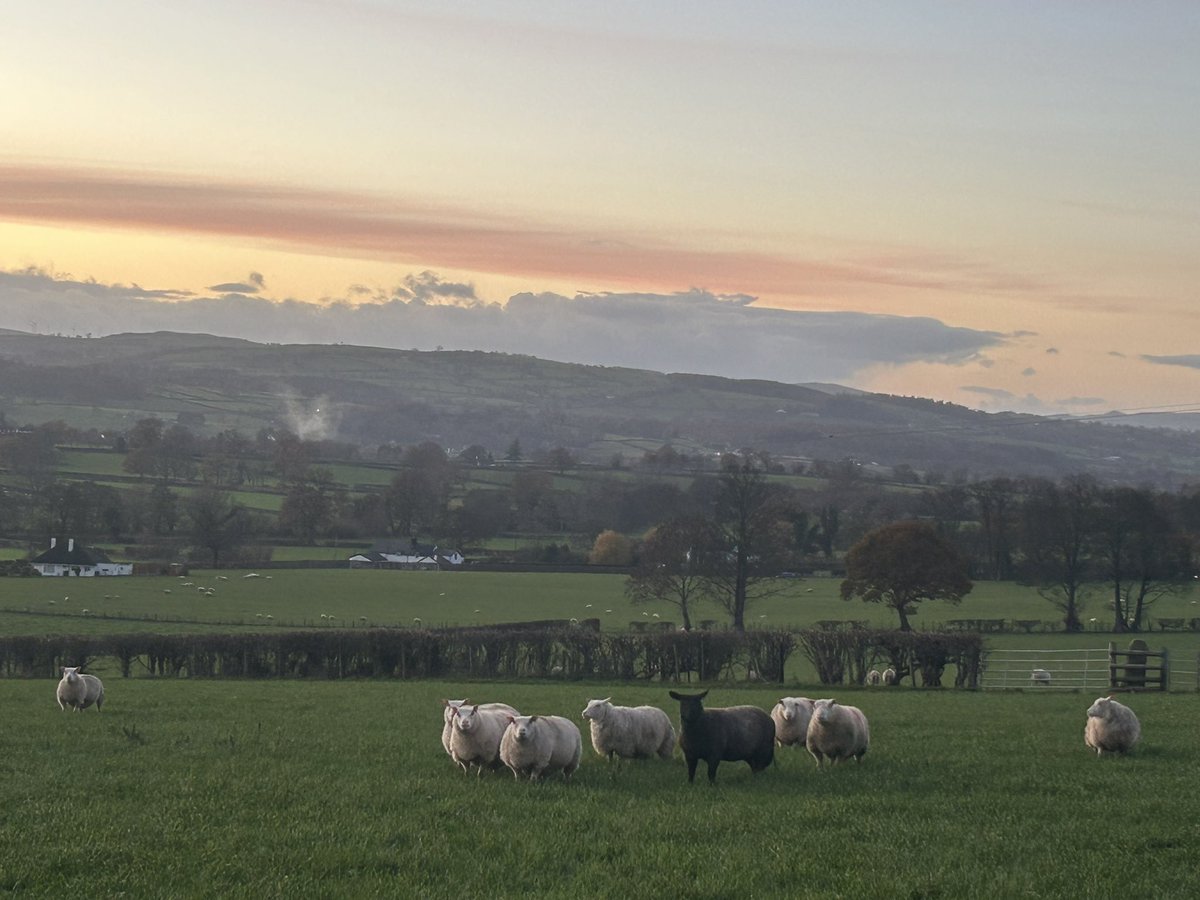 Rhian Jones tweet media