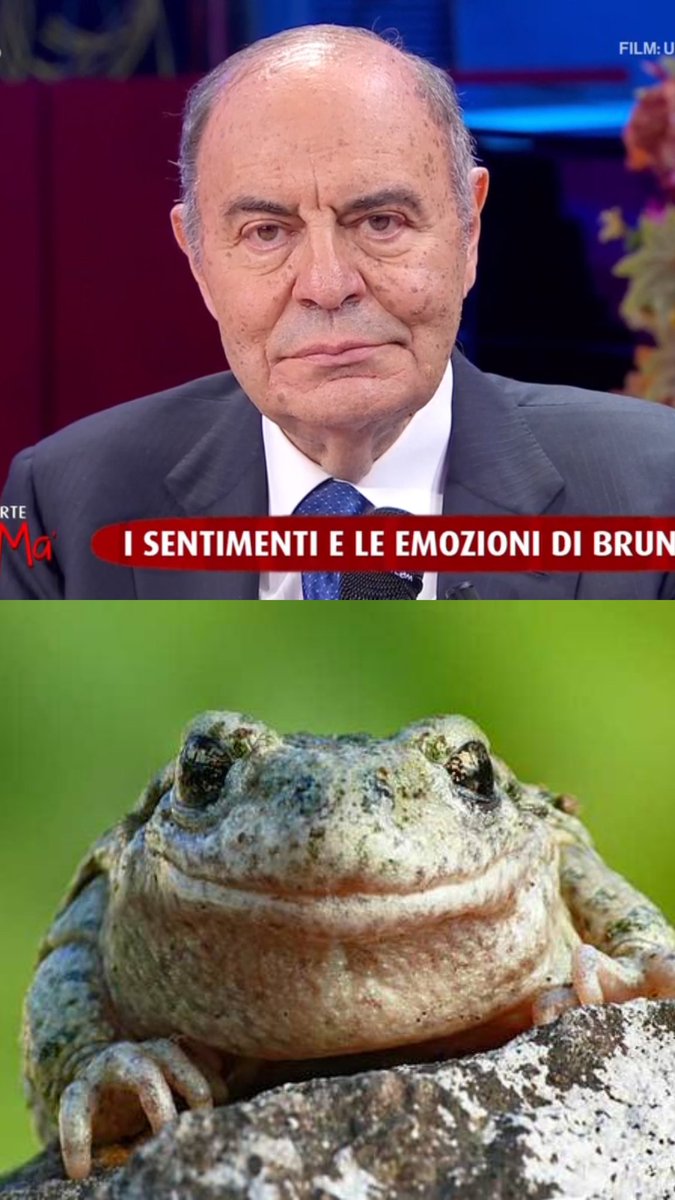 davidelynce's tweet image. #blob