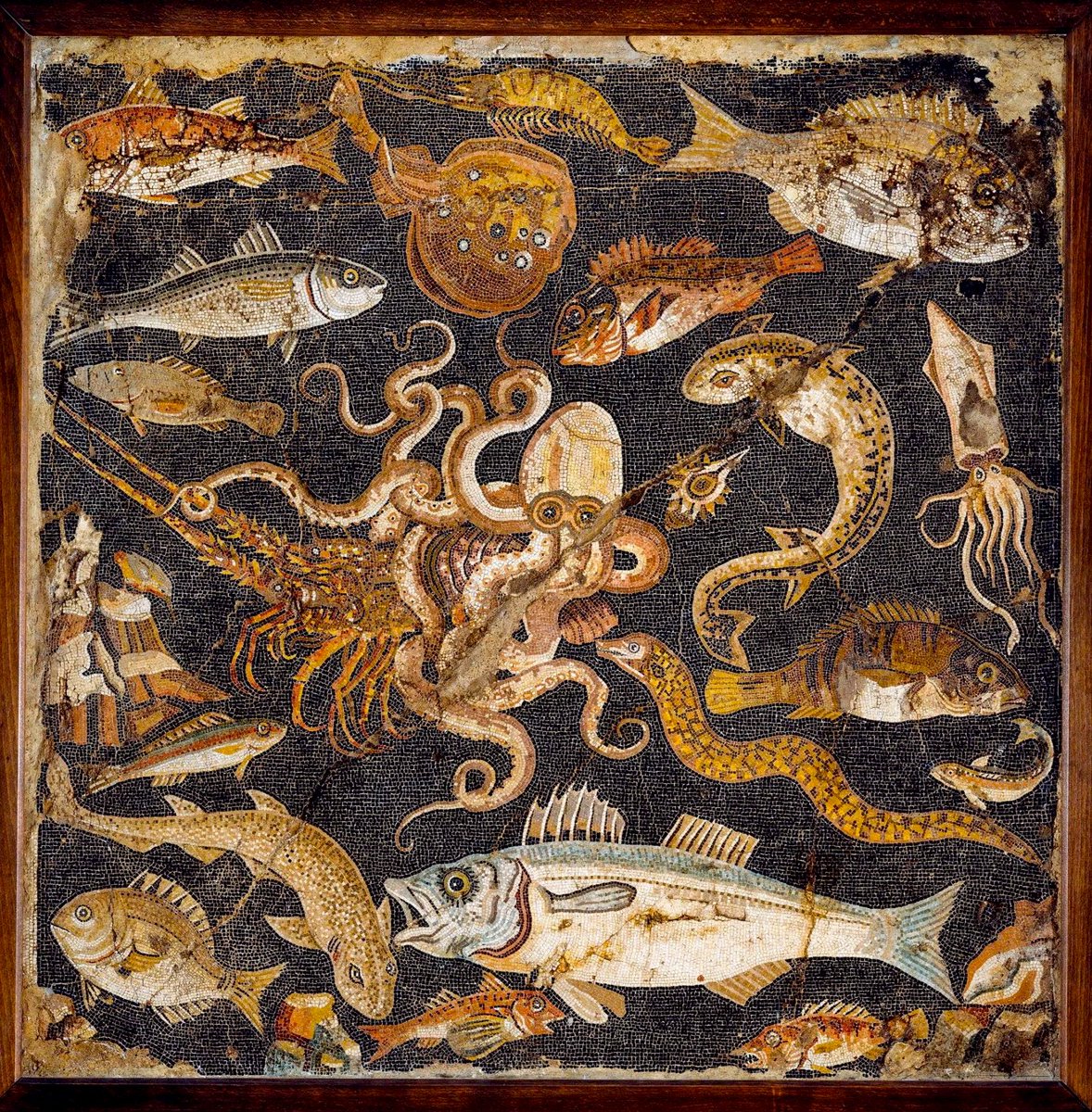 A mosaic from Pompeii showing sea creatures, 1st century AD, National Archaeological Museum of Naples.