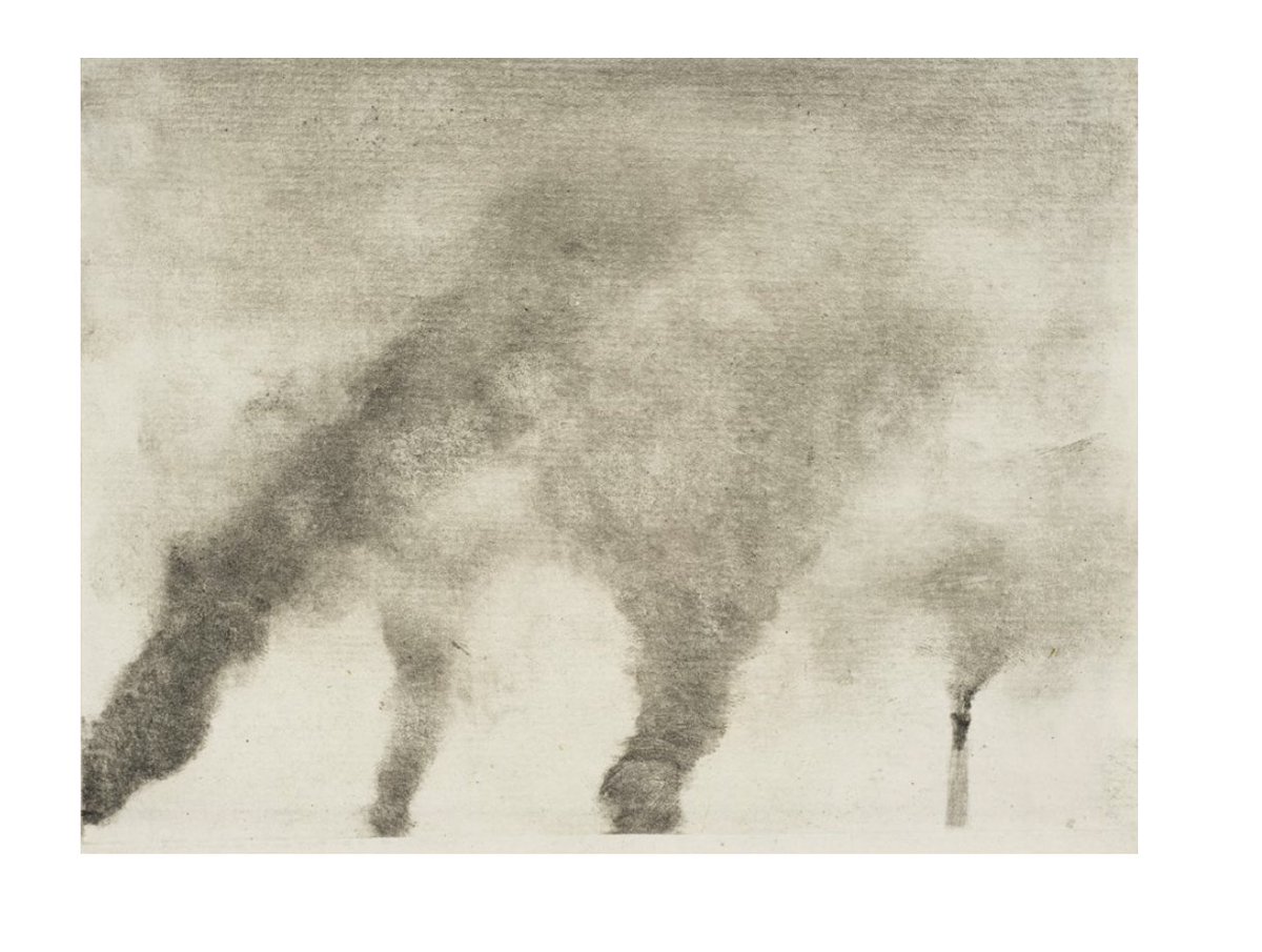 Alina Stefanescu tweet media