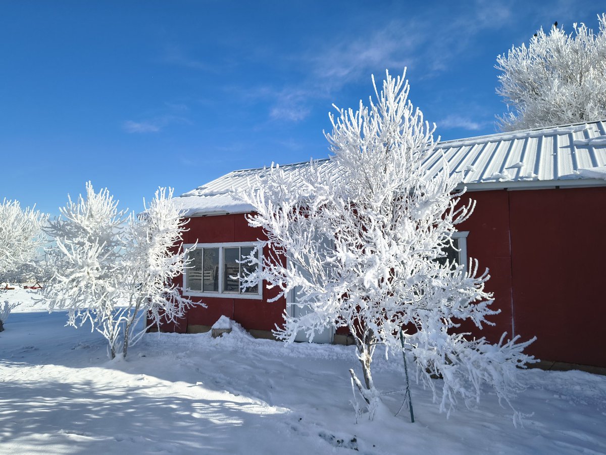 Rick "Worm" 🐛 Charbonneau tweet media