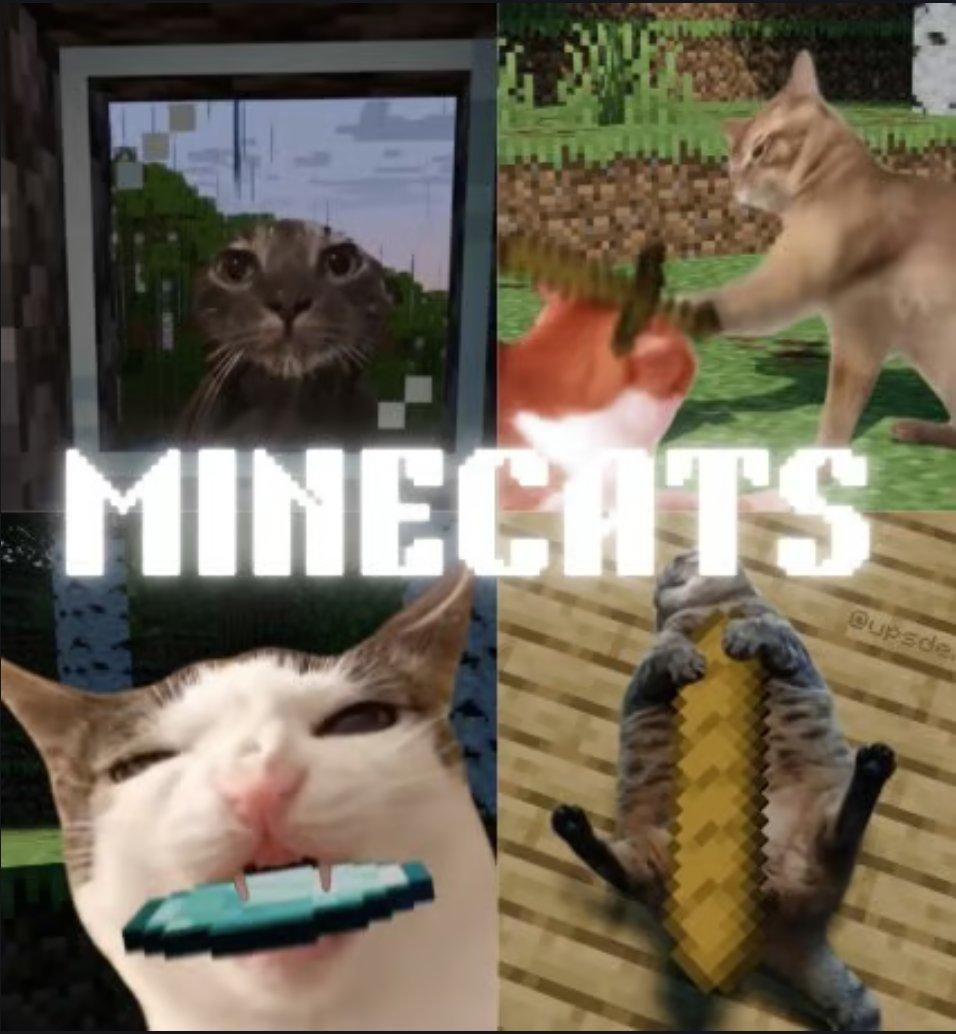 DEVification's tweet image. This account views are literally skyrocketing! 

They just upload videos of cats as minecraft characters.

This guy makes Minecraft irl vids on viral cats  

In total his videos have 100+mil views

tiktok.com/@upsde.dwn