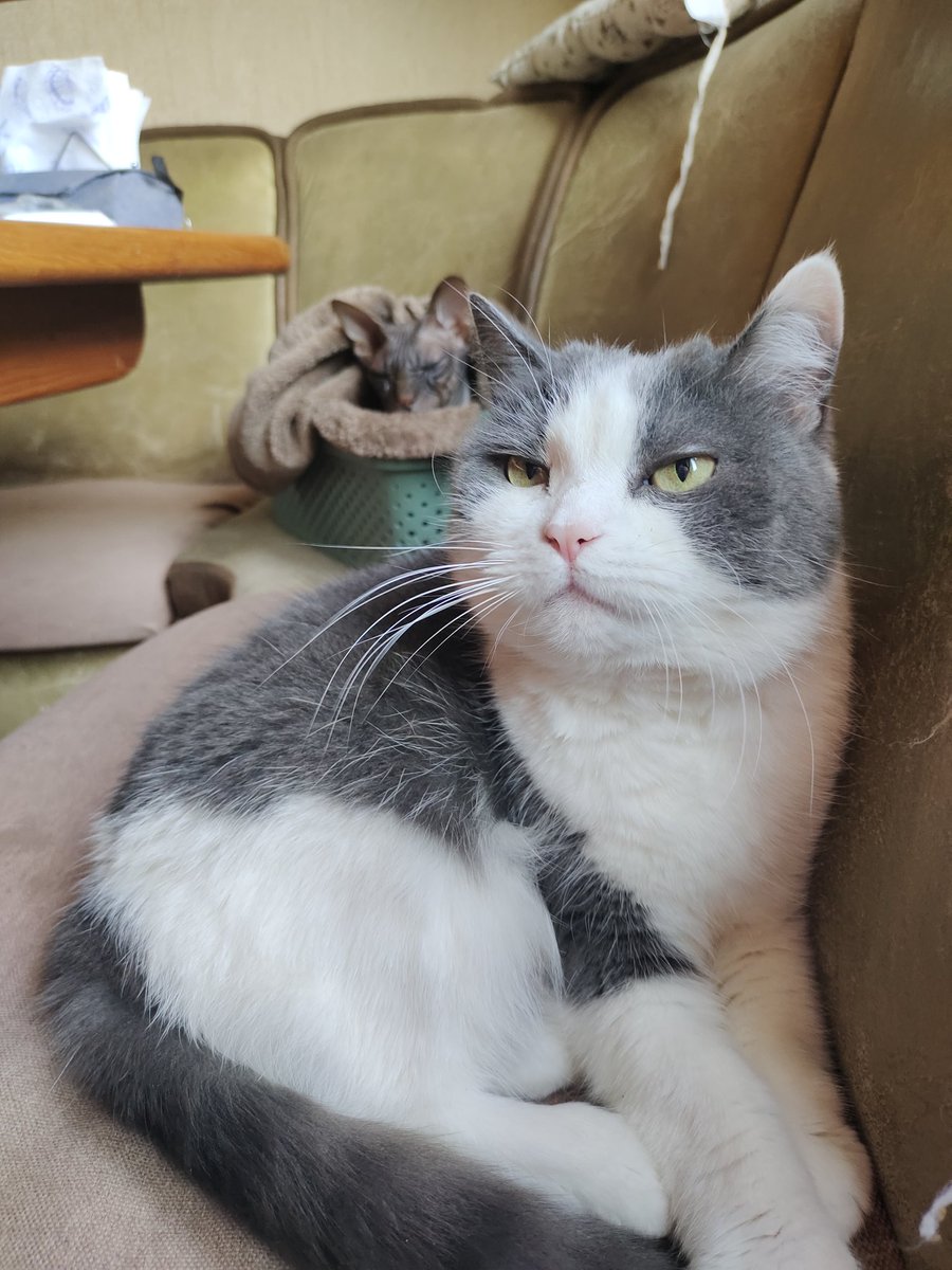 Заробили собі похавать