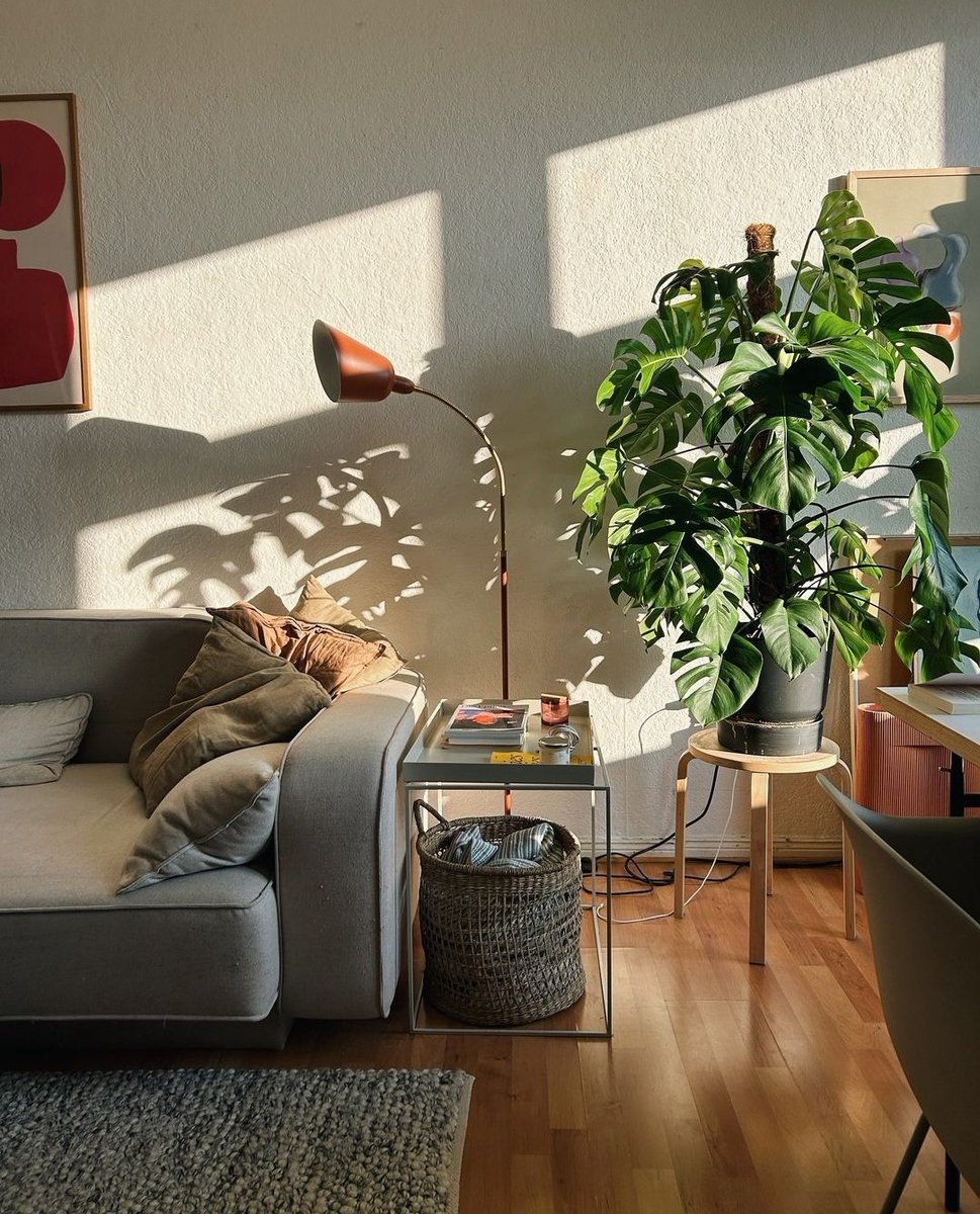 Spacesthetic tweet media