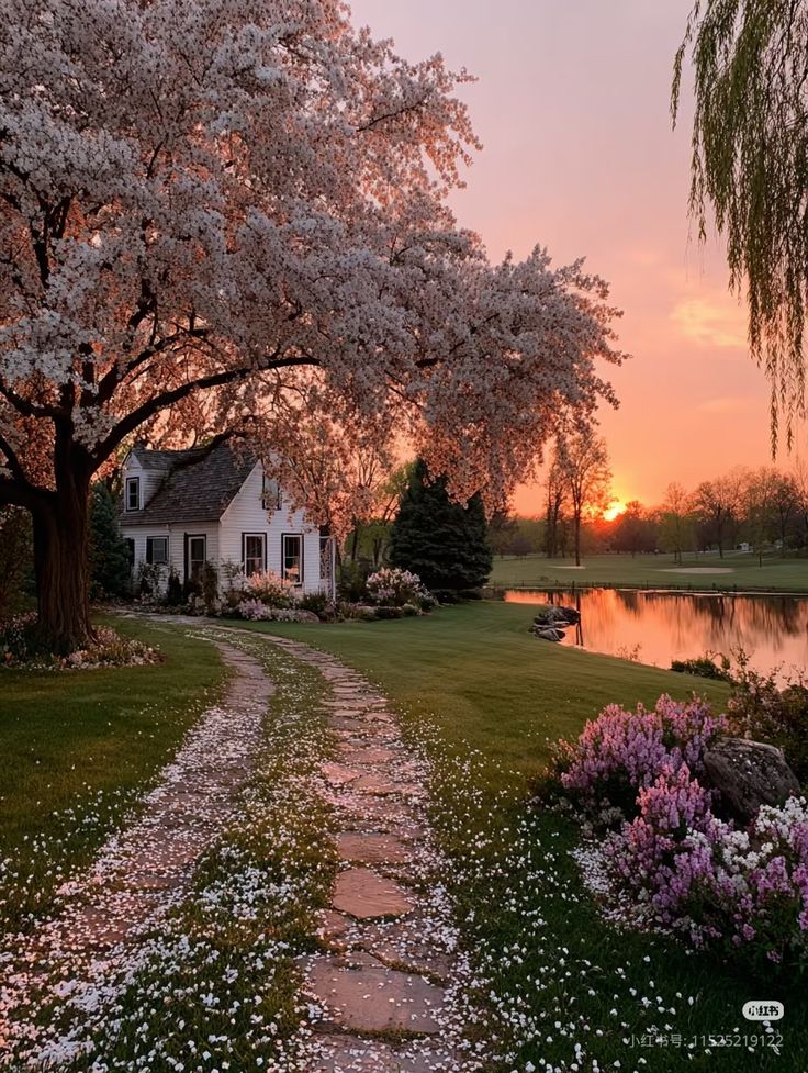 greenvibe's tweet image. 