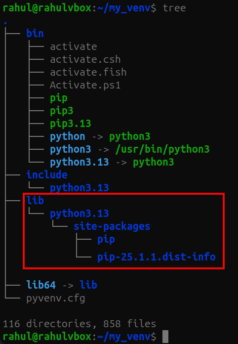 xanthium enterprises tweet media