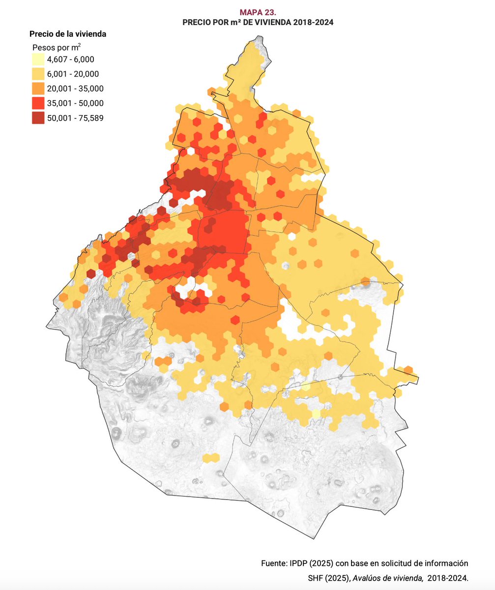 Xavier Treviño Theesz tweet media