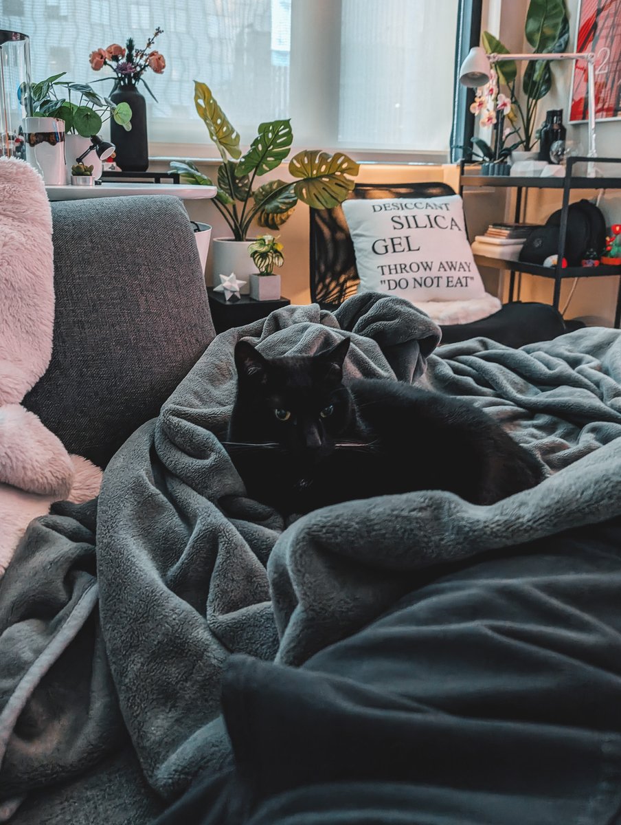 home decor should be absurd