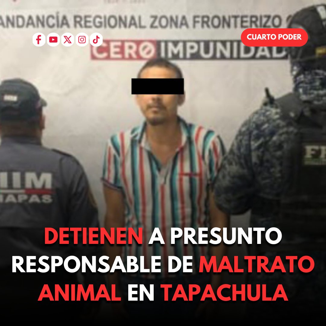 CuartoPoderMX's tweet image. Detienen a presunto responsable de maltrato animal en #Tapachula 🐶

La @FGEChiapas y la @sspchiapas detuvieron a Jonny “N” por presunto maltrato contra un perro y sus crías en el fraccionamiento Vida Mejor de Tapachula.

El acusado quedó a disposición del Tribunal, mientras los…