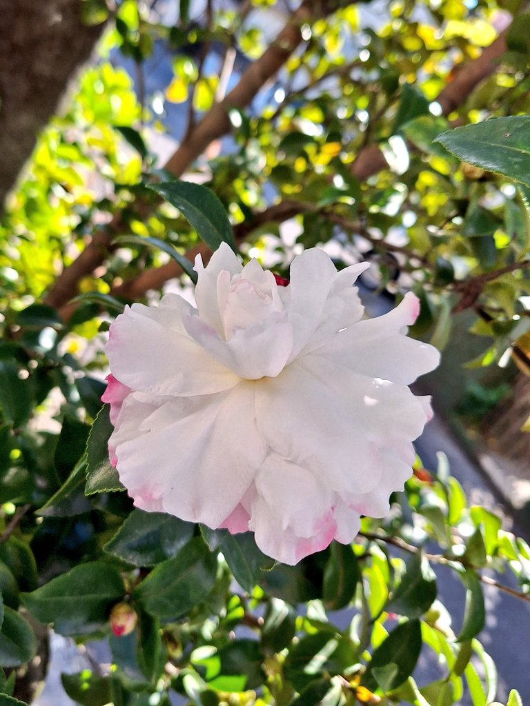 おはようございます💝✨