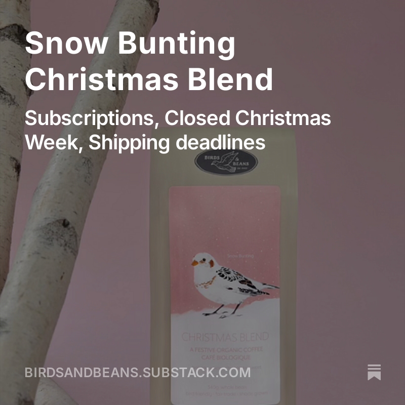 Our latest news...

birdsandbeans.substack.com/p/snow-bunting…

#birdfriendlycoffee