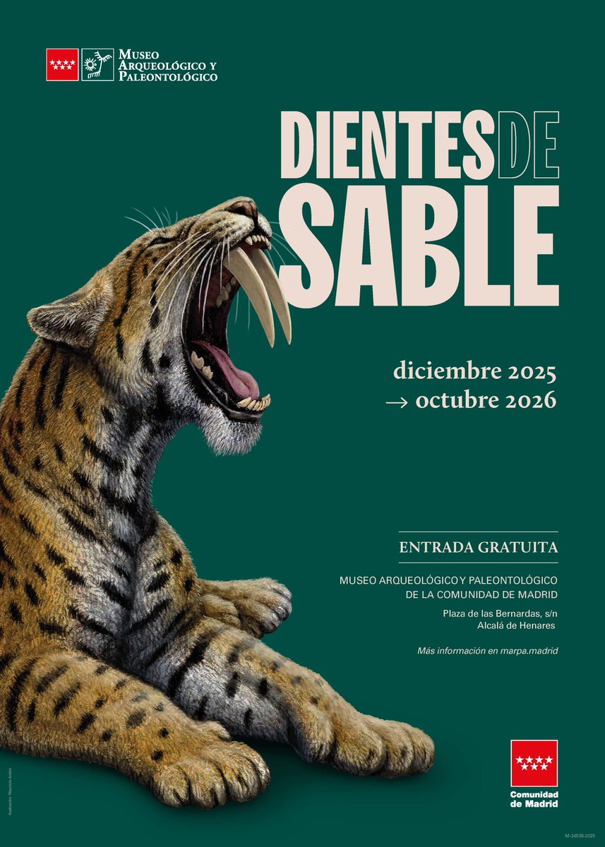 MAntonPaleoart's tweet image. ¡El 9 de diciembre se inaugura la gran exposición sobre los félidos "dientes de sable", un proyecto hasta hoy secreto y que nos ha tenido frenéticamente ocupados durante todo este año 2025! marpa.madrid/actividades/ex…