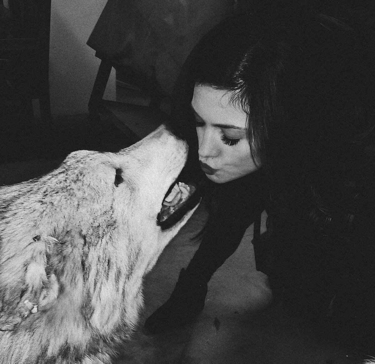 hybrsdgirl's tweet image. 