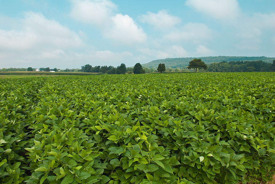 ACE at Illinois tweet media