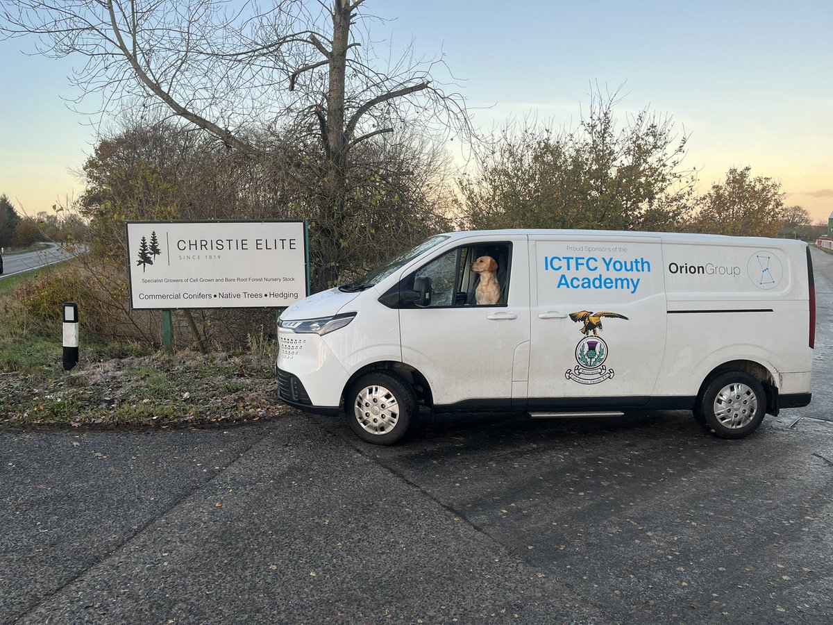 Dale Stephen tweet media