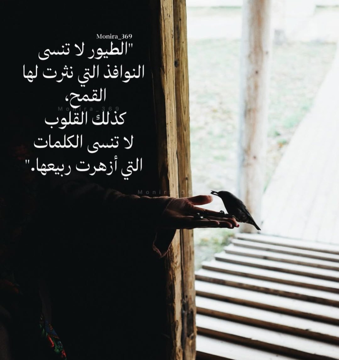 ElhamZaki8's tweet photo. https://t.co/9JAuqJErIe