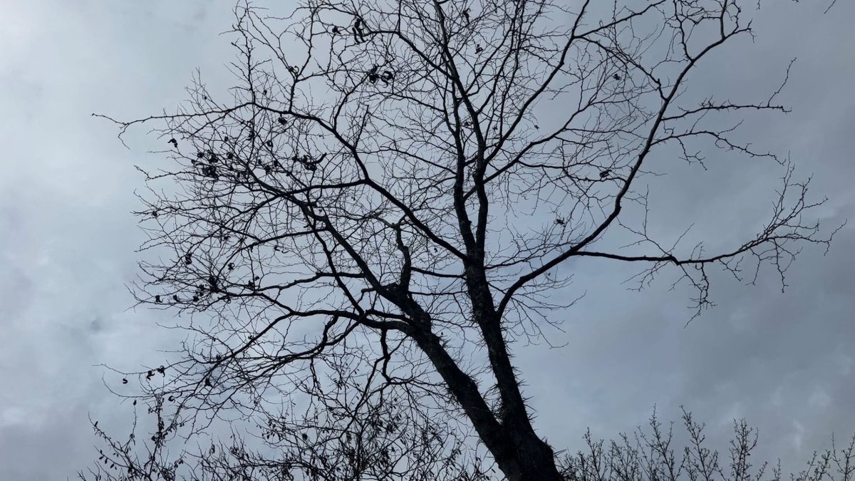 munogramas's tweet image. se trata de acumular recuerdos ☁️