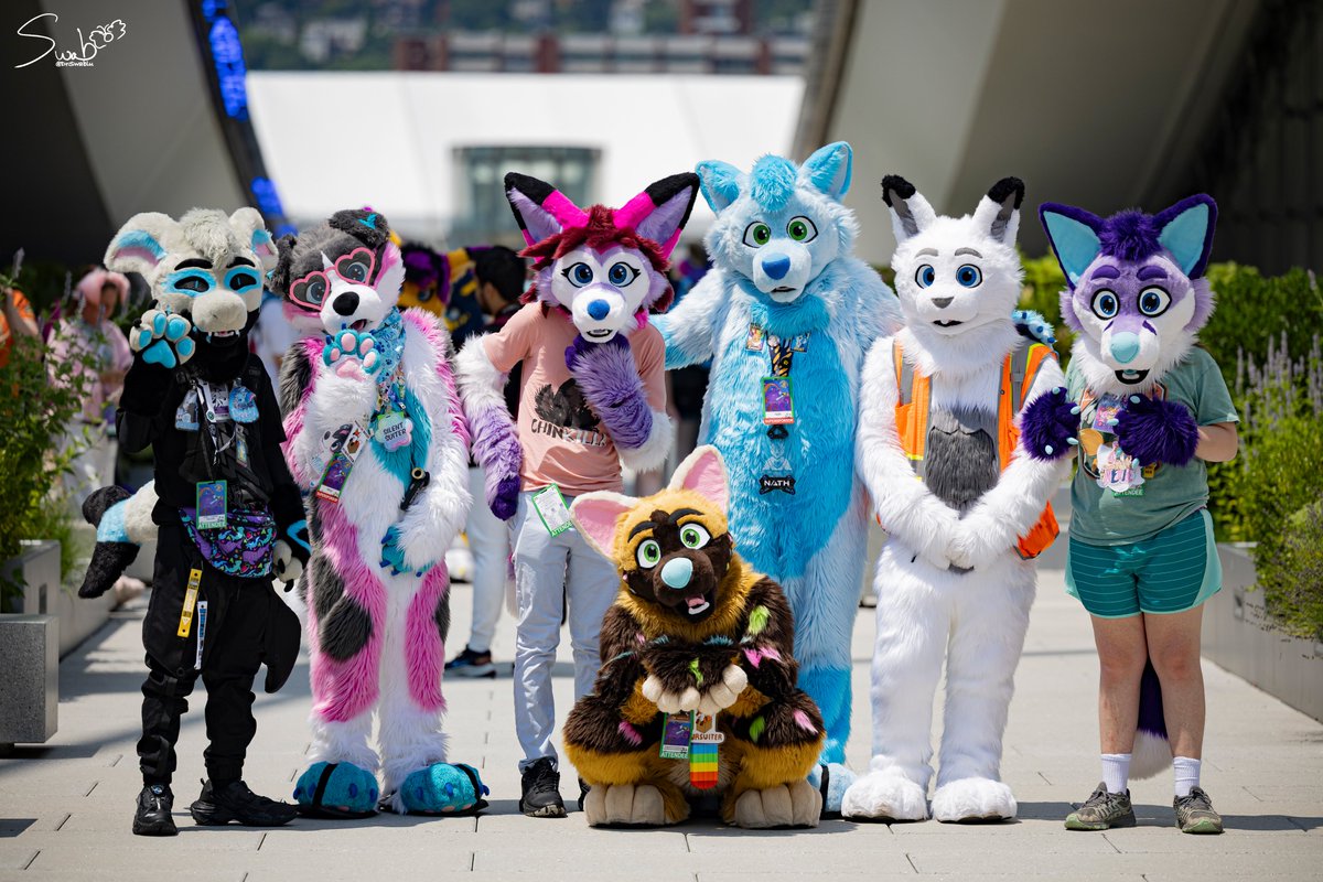 Foxes in Boxes Fursuits (FoxesinBoxes.bsky.social) tweet media