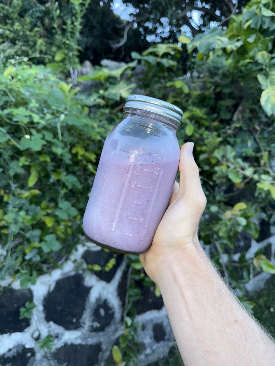 A nourishing smoothie is the greatest way to start the day.

- raw goat milk
- egg yolks
- berries
- bee pollen
- raw honey
- sea salt