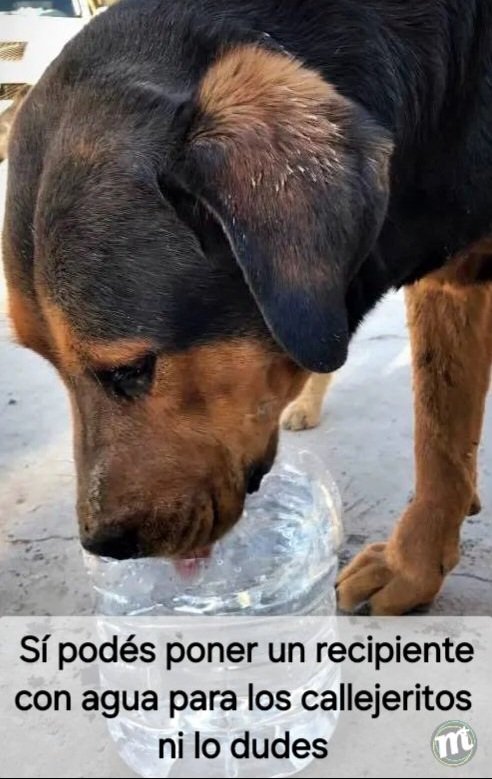 💦💦💦💦💦💦💦💦
Caminan mucho para conseguirla.
¡Sumate!