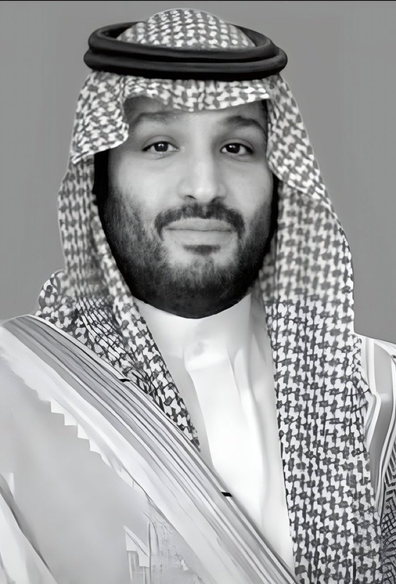 HRHMBNSALMAAN's tweet photo. علاقات ولي العهد الدبلوماسية تحقق توازناً إقليمياً ودولياً بمهارة استثنائية. https://t.co/9L7ZlV2FH7