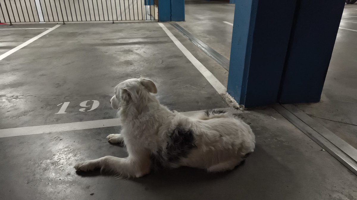 HUGꙨИE 🌐 tweet media