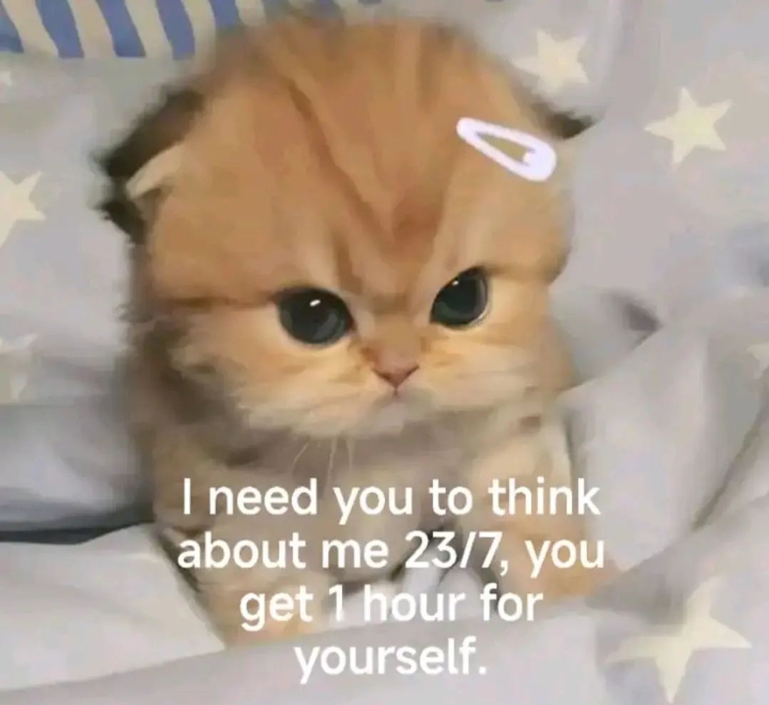 Catsillyness's tweet photo. https://t.co/DLxdtywsvS