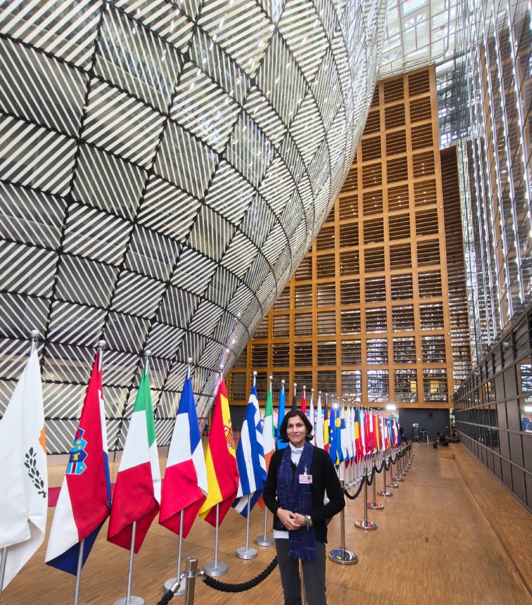 PcmsNews's tweet image. Interdisciplinary exchange is essential for shaping smart, rights-based responses to today’s challenges in Europe. Our #PCMS colleague @ADergam was in Brussels for valuable exchange on #communication, #digital space &amp;amp; societal #resilience. 
#DigitalEurope #Resilience #HumanRights