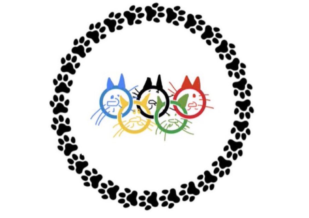 AMaijen's tweet photo. #EerbetoonAanJootje
@Jootjedekat
#Catolympics
#Kitolympics https://t.co/3HL1JPpOtX