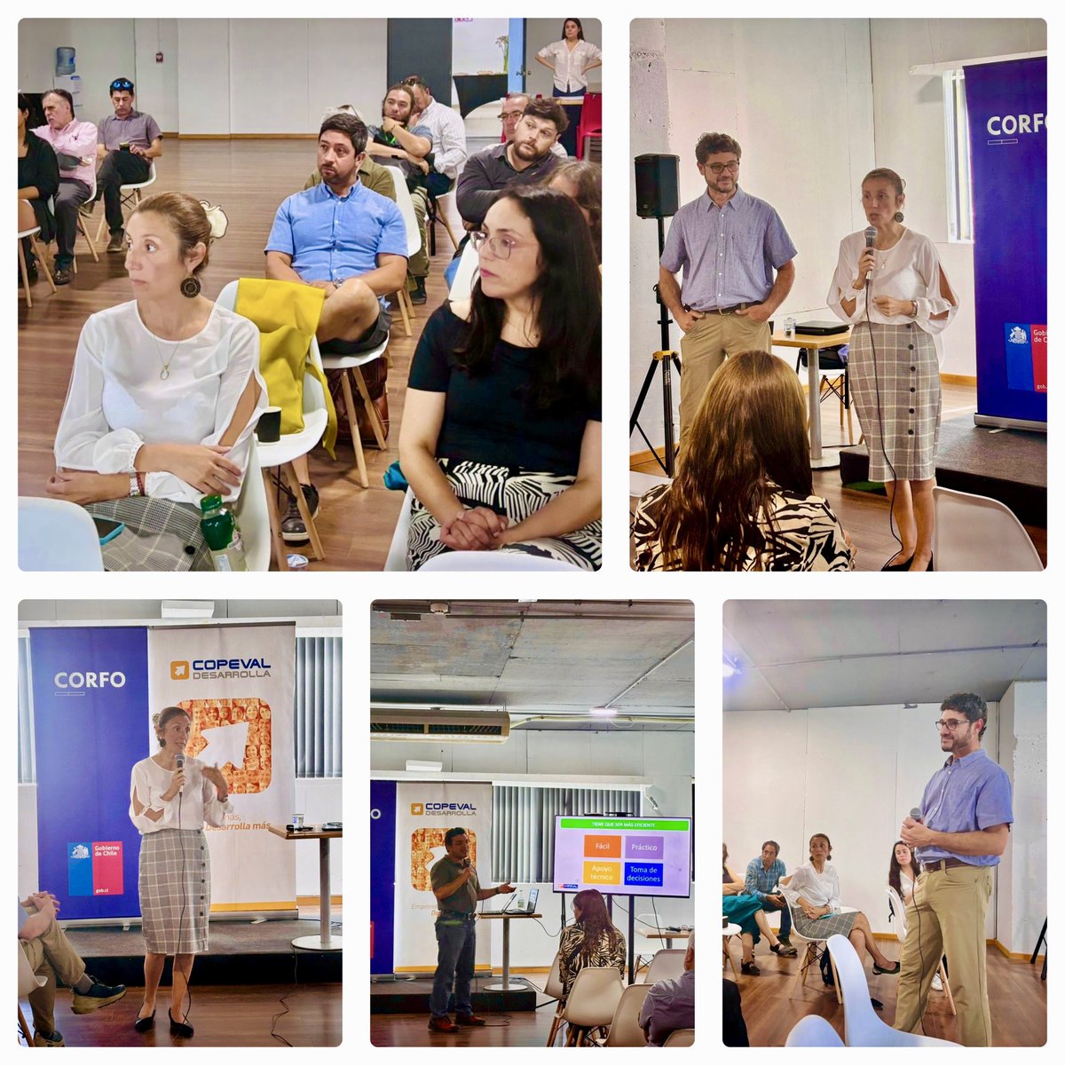 Corfo Maule tweet media