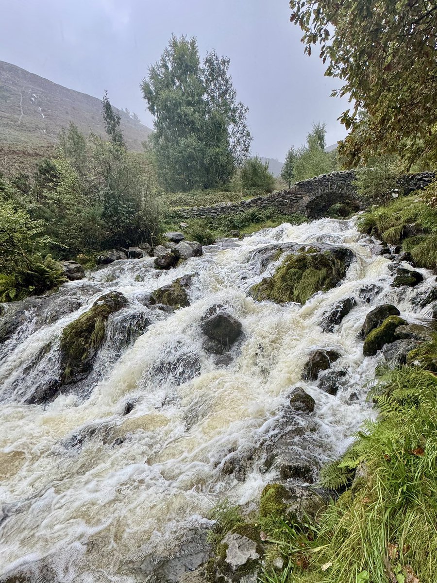 CascadeCumbria tweet media