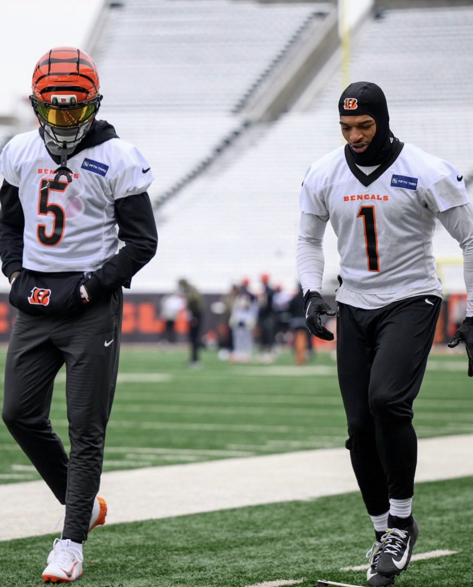 zimwhodey's tweet image. 