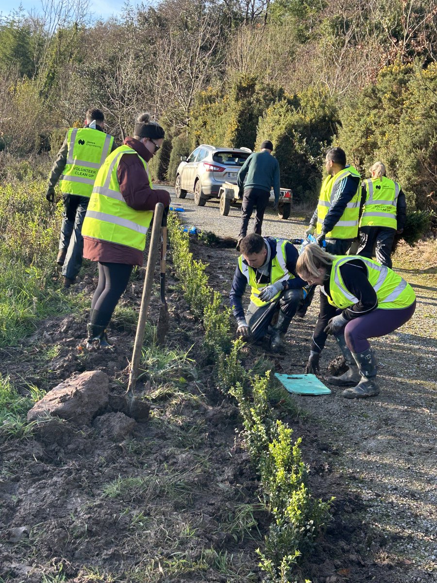 GameWildlife's tweet photo. Jones engineering staff busy planting a Box  Hedge today around our butterfly and bee biodiversity garden. Jones Engineering sponsored the extension of this garden to the tune of €5,500.00 for which we are extremely grateful  and we thank them sincerely. https://t.co/GHBIWLYumY
