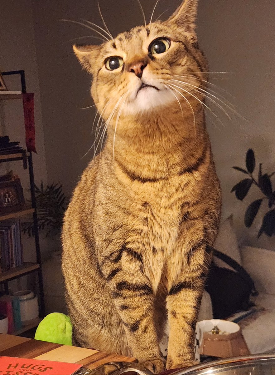 hay jost wanted to say ,,, im loving  you :) no matter wat !