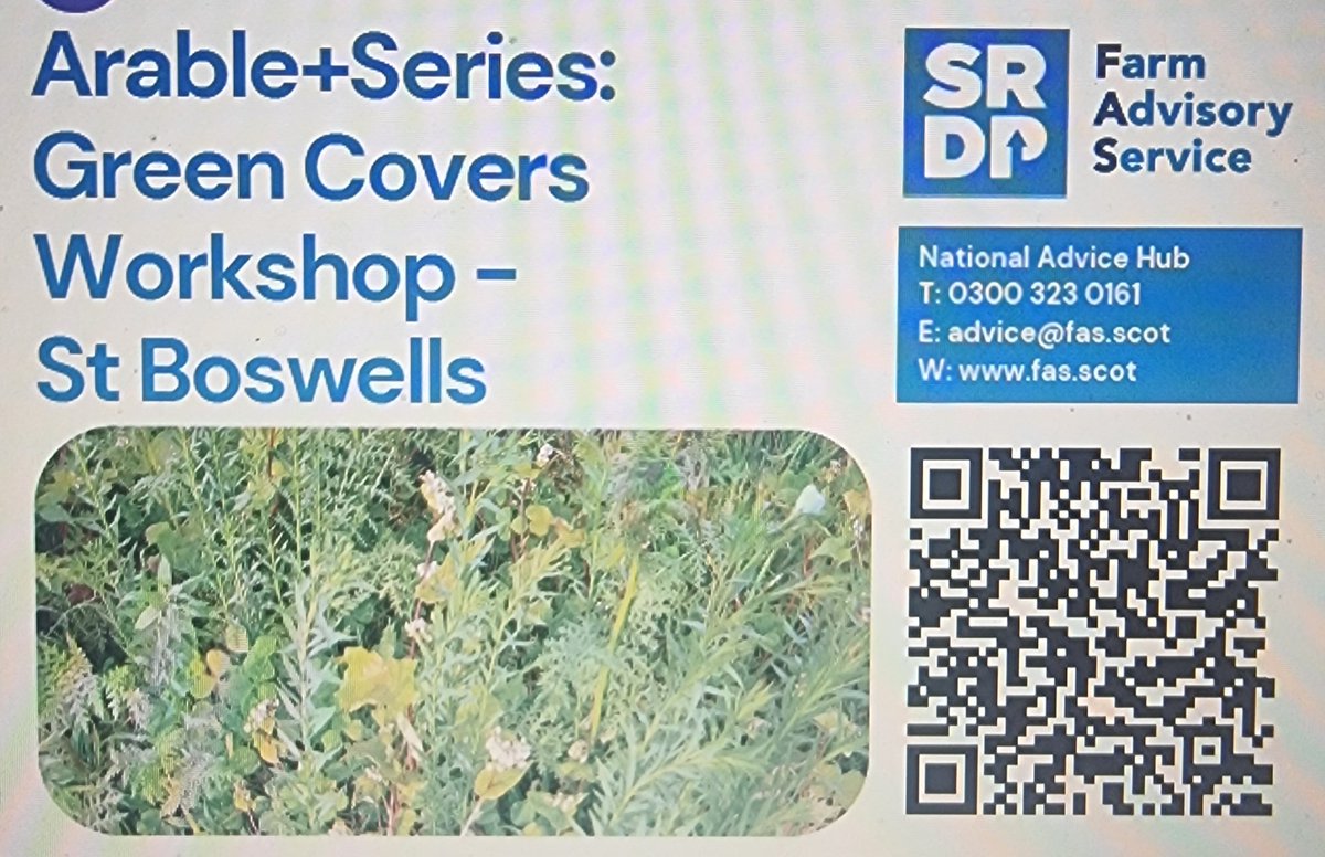 Everything Is Greenknowe tweet media