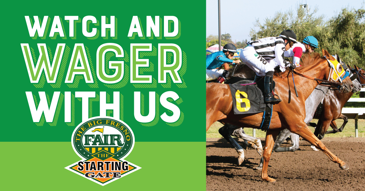 At The Starting Gate, you can watch and wager on horse races from tracks across the country without leaving town. Think racetrack meets sports bar! Details >> fresnofair.com/satellite-wage…. #FresnoFairgrounds #2025BFF