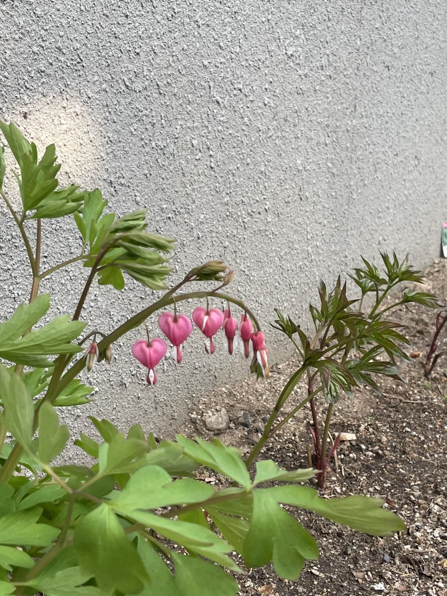 화인센터 tweet media