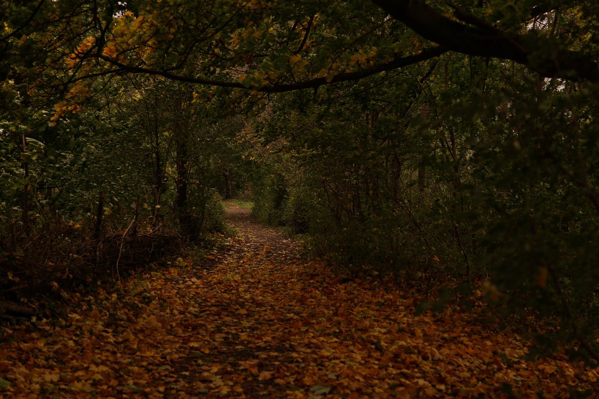 I miss autumn