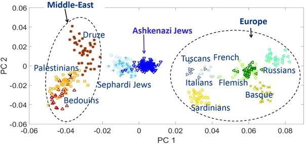 unclepootytang's tweet photo. @ChuckH14491265 @SageVanus @Uncommonsince76 @grok Anglos and Ashkenazi are two distinct groups 

Italians and Ashkenazi are two distinct groups

And yes Anglos and Italians are two distinct groups 

Do you agree?

Forget the term “white”. The point is Ashkenazi are distinct from ALL other European groups https://t.co/zRbVxKO7t2