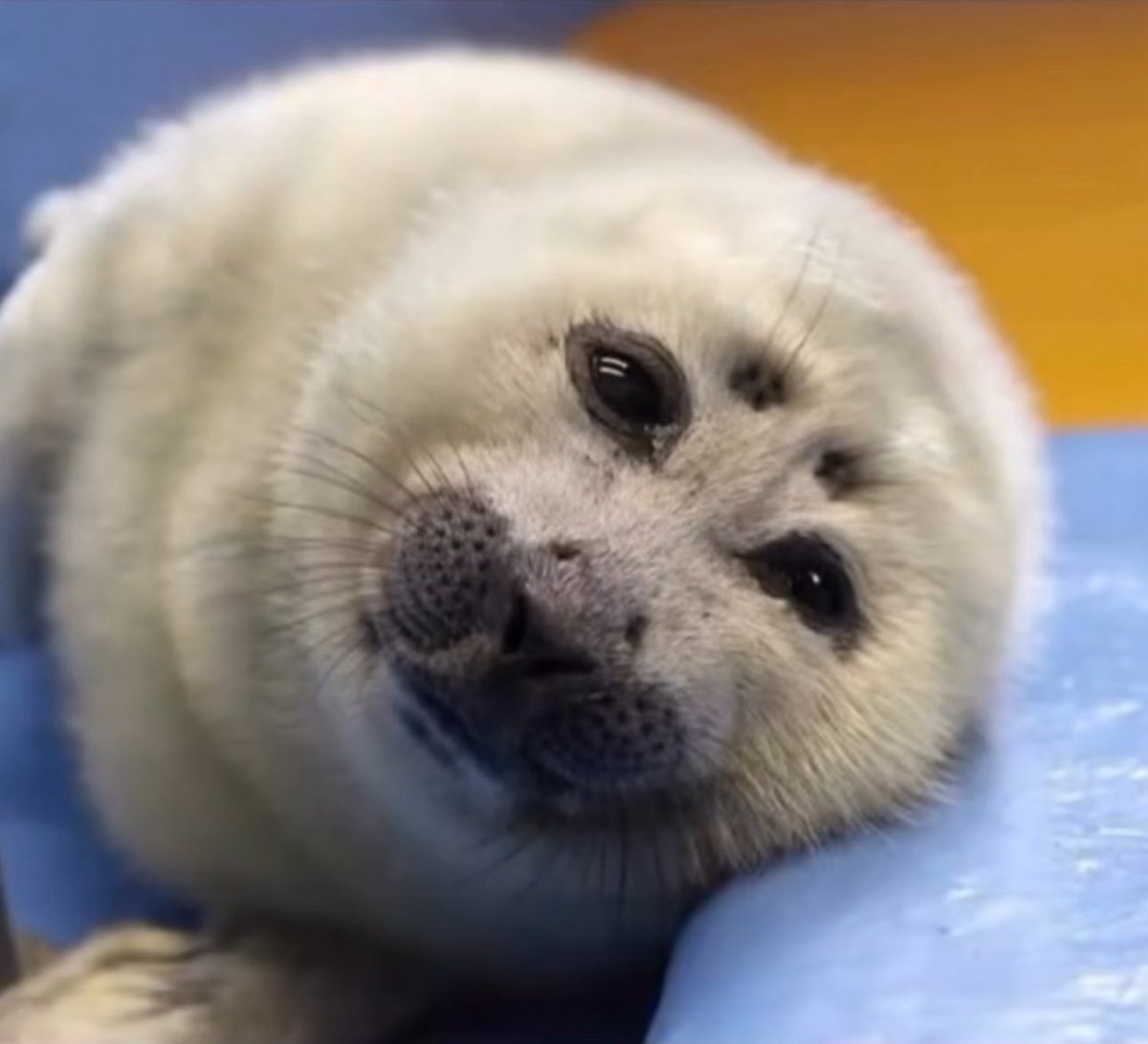 I found this old man under my bed!
What do i do with him?