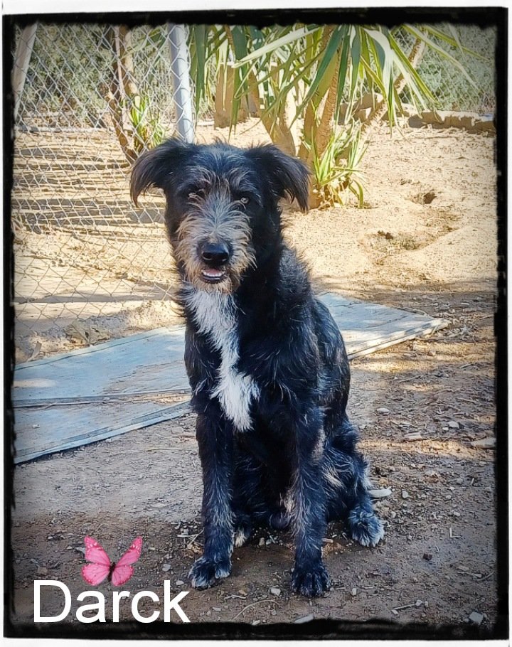 El Refugio de Brown tweet media