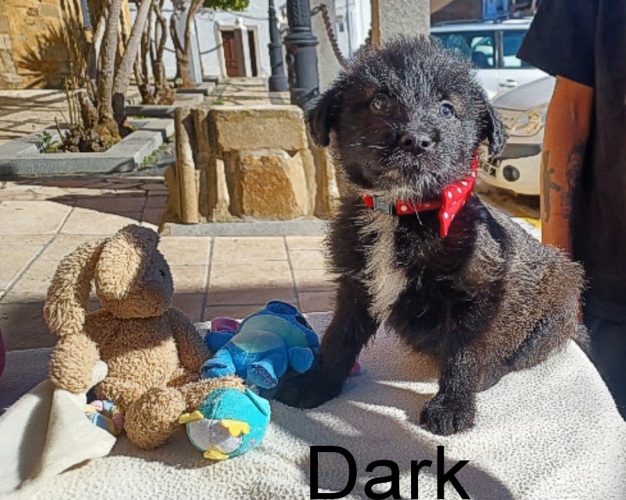 El Refugio de Brown tweet media