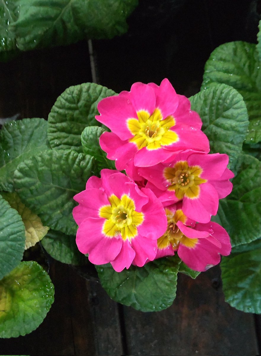 １２月５日（金）

おはようございます🍀…♪

素敵な金曜日をお過ごしください🎵

今日もよろしくお願いします🎶