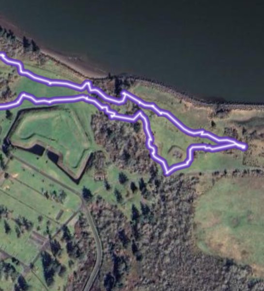 obi bogey tweet media