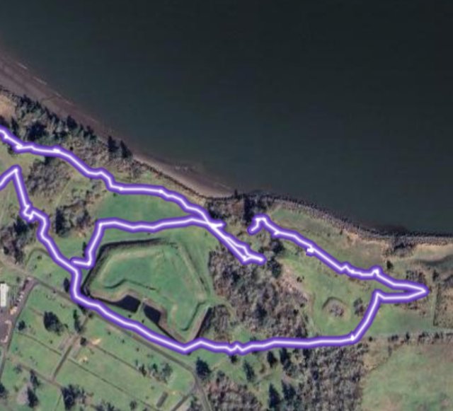 obi bogey tweet media