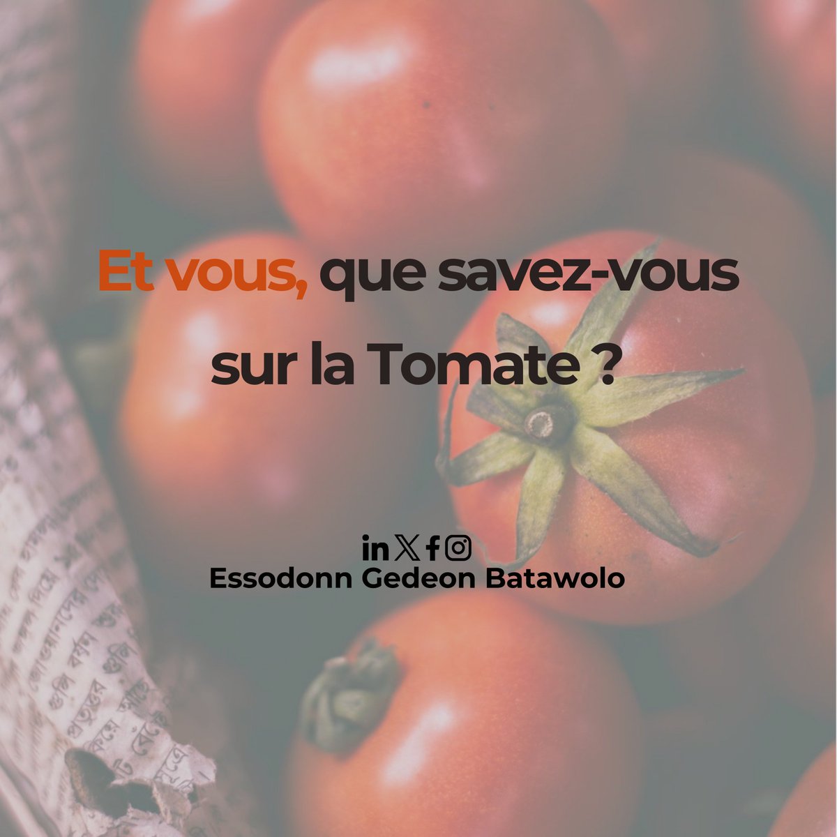 BEssodonn's tweet photo. La tomate occupe aujourd’hui une place centrale dans notre alimentation, dans l’agriculture et même dans l’économie locale. https://t.co/p68bVMLRFL