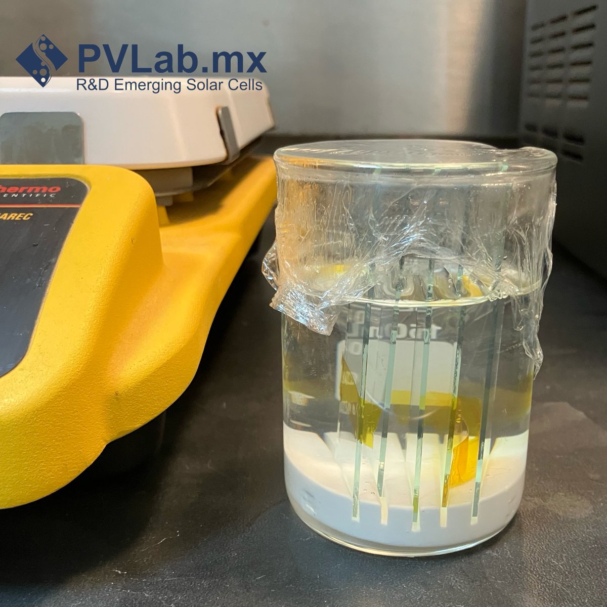 Jesús Capistrán tweet media