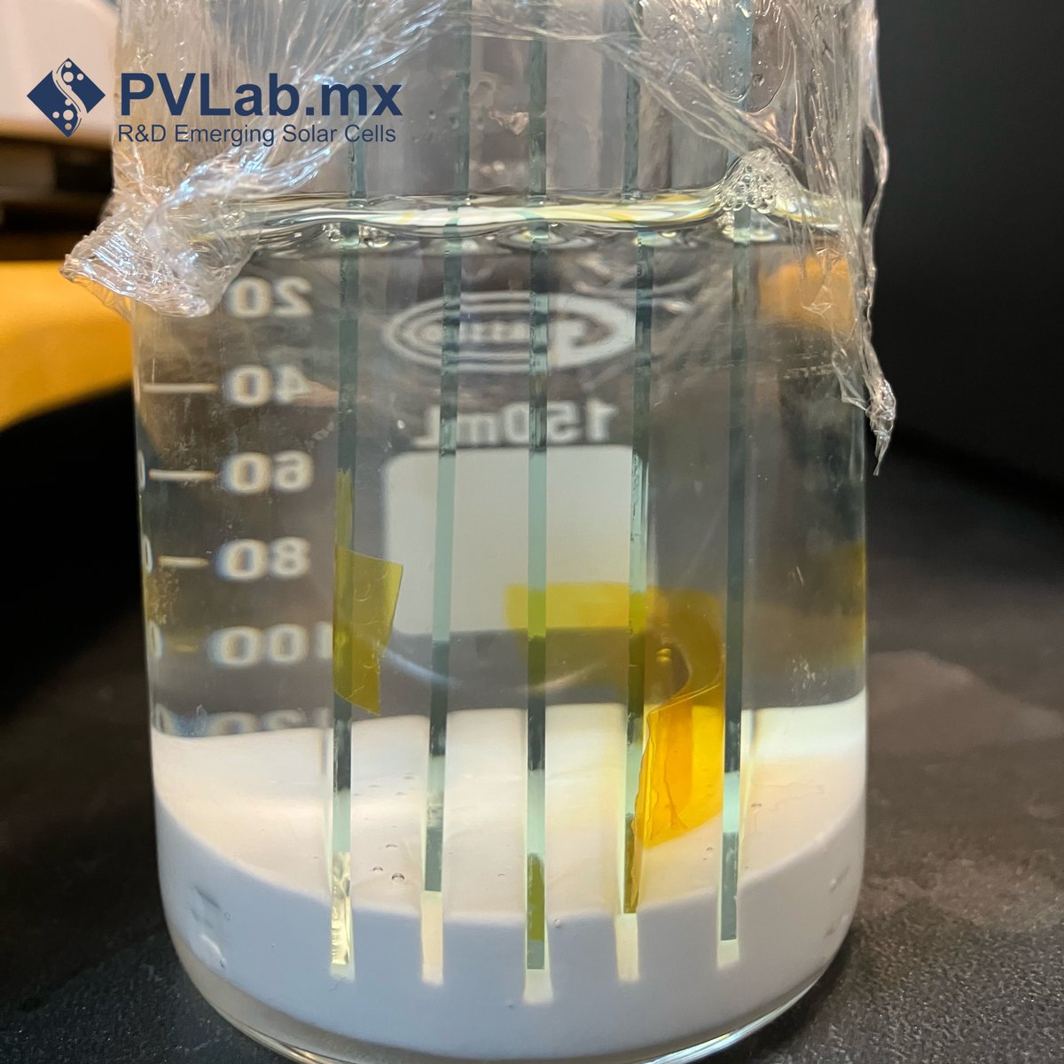 Jesús Capistrán tweet media