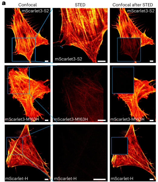 Nature Methods tweet media