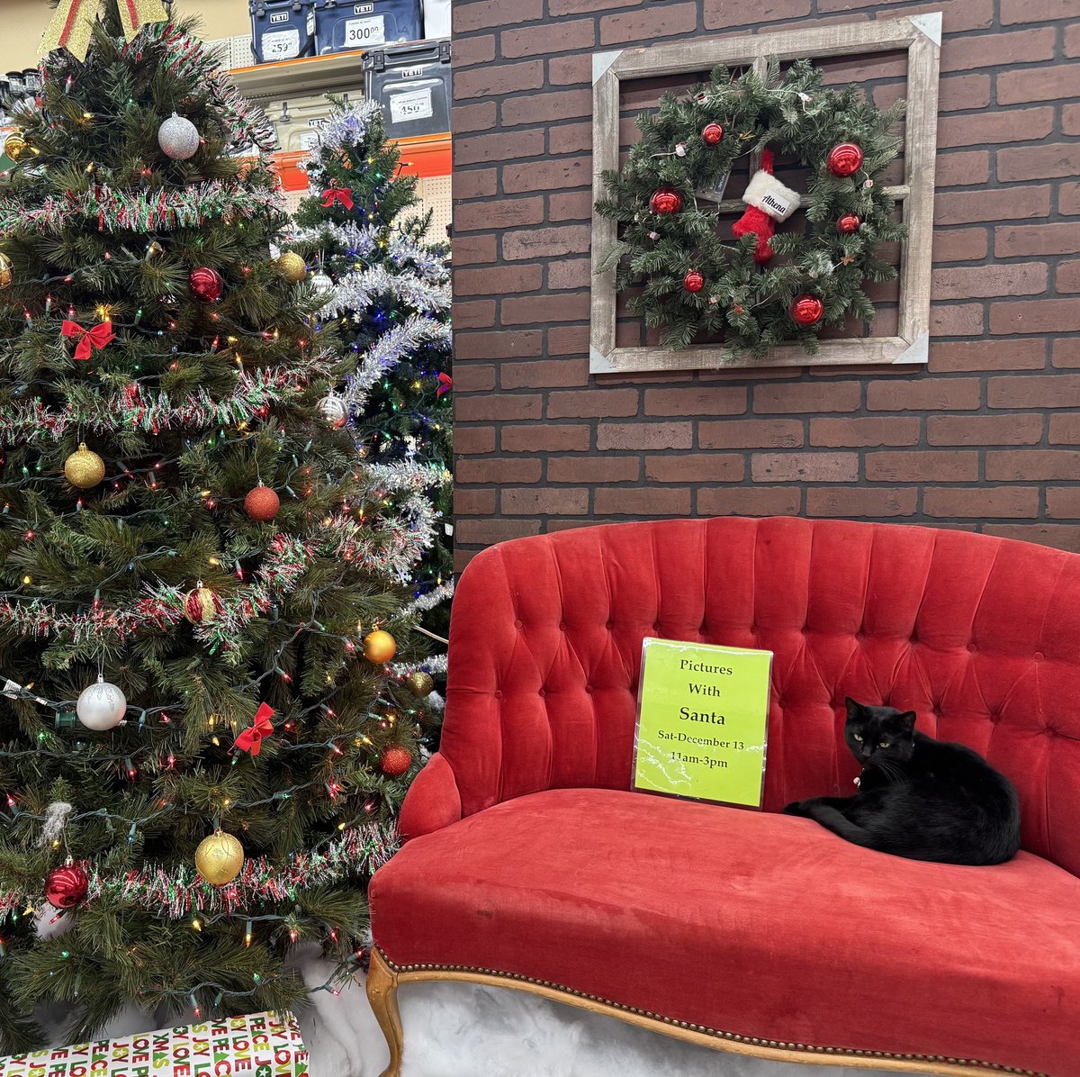 Santa is cuter than I remember.